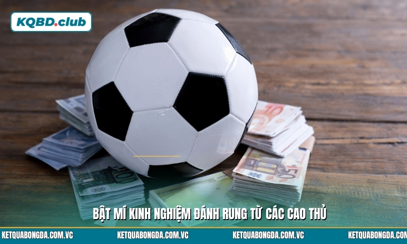 Bật mí kinh nghiệm đánh rung từ các cao thủ Bật mí kinh nghiệm đánh rung từ các cao thủ